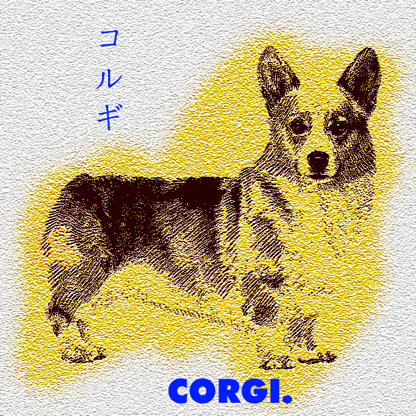 corgi copy