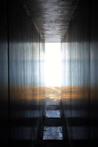 Photo Courtesy of Rachel Dunn