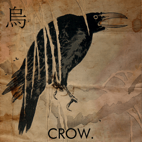 crow