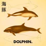 Mammalogy_and_Ornithology